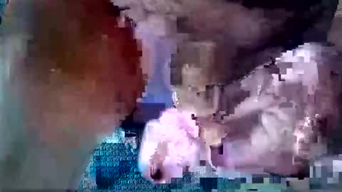 Snapshot of toranaman77 chatting on September 29, 12:09 am toranaman77 online show from September 29, 12:09 am