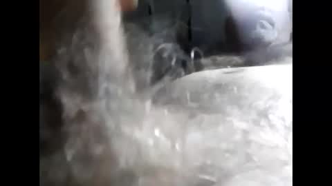 Snapshot of tra649167 chatting on February 27, 10:09 pm tra649167 online show from February 27, 10:09 pm