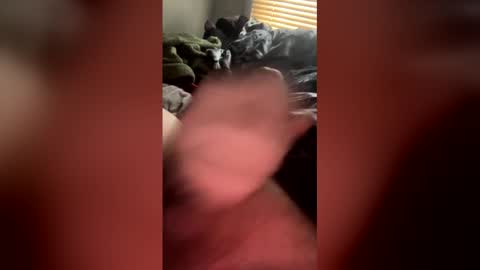 traek223 online show from January 15, 6:50 pm