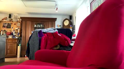 Snapshot of trebgeis1 chatting on February 18, 11:44 am trebgeis1 online show from February 18, 11:44 am