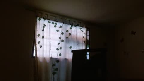 trebol_4 online show from July 28, 9:14 pm
