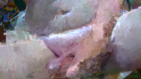 troy1965 online show from January 6, 4:47 am