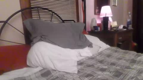 Kitten online show from July 18, 8:27 am