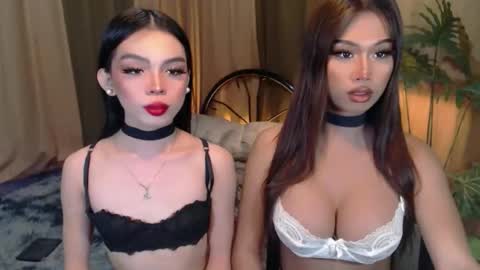 twinktransshanel online show from October 6, 4:19 am