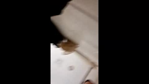 Matt online show from February 11, 2:37 am