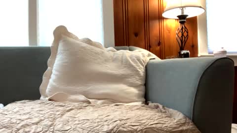 Tyler Sands online show from February 16, 2:21 pm