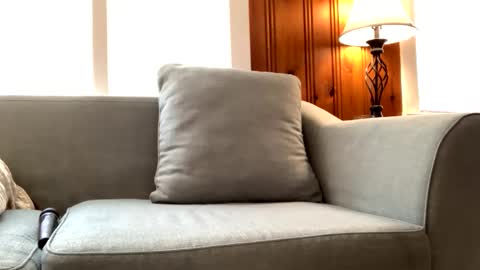 Tyler Sands online show from February 22, 3:14 pm