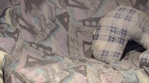 Helena and Tyson online show from February 2, 4:05 am