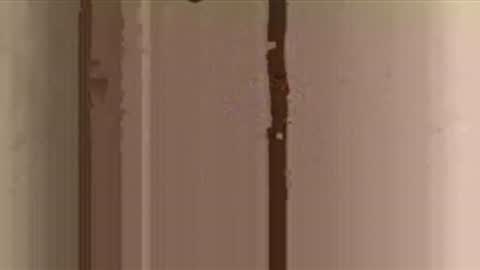 ult1m8 online show from November 25, 10:08 pm