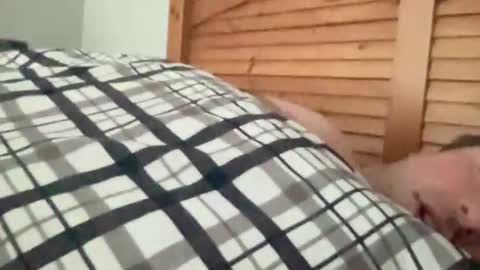 ungerisland online show from January 17, 7:12 pm