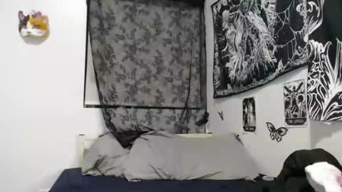 Dolly online show from November 6, 4:15 am