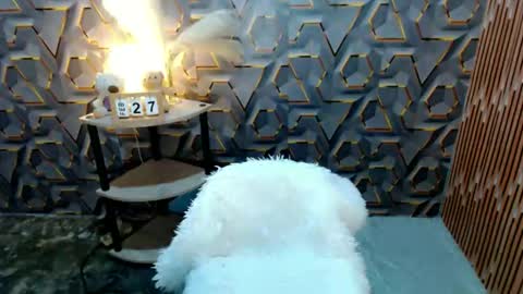 urseductivetranss online show from February 27, 1:42 am