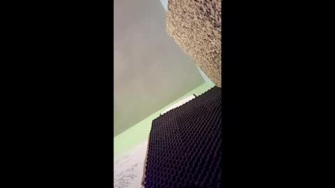 v3403454 online show from December 16, 11:55 pm