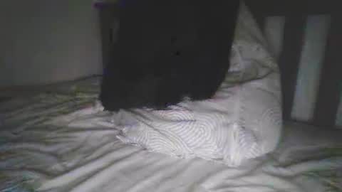 kerala mallu boy online show from September 18, 10:08 am