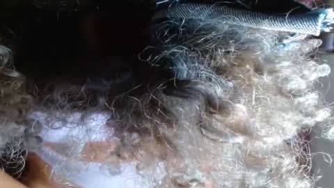 Snapshot of victoria_miler chatting on February 14, 3:54 am VICKY online show from February 14, 3:54 am