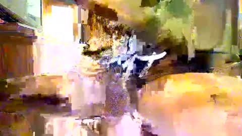 viizin online show from February 23, 6:28 am