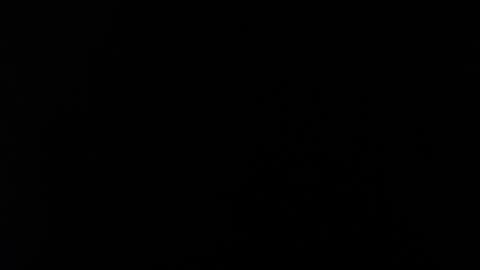 Daniela online show from February 13, 4:38 am