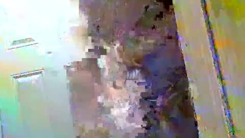 Walter online show from December 9, 10:43 am