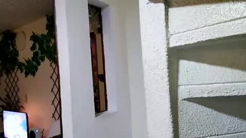 Waningrose  Lu online show from January 4, 2:25 am