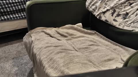 Daddy online show from January 3, 9:57 pm