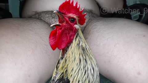 classified online show from December 29, 1:34 am