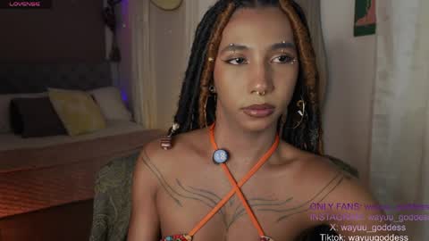 Wayuu Goddess  3 online show from April 22, 8:38 pm