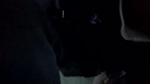 Eduardo online show from March 10, 9:13 am