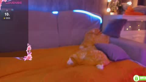 Sofia online show from January 16, 12:03 pm