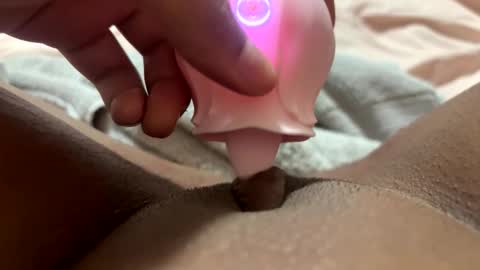 wildgirl34273483 online show from February 22, 7:45 am