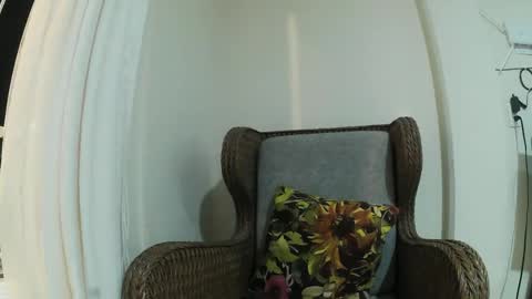 Wild Strawberry online show from February 3, 2:47 am