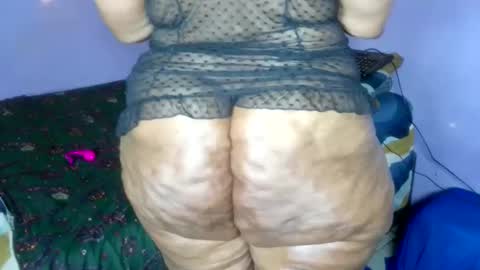 wilmaassylum online show from December 1, 8:56 am