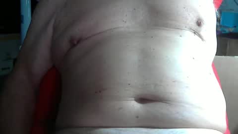 wolfoerl online show from November 11, 3:36 pm