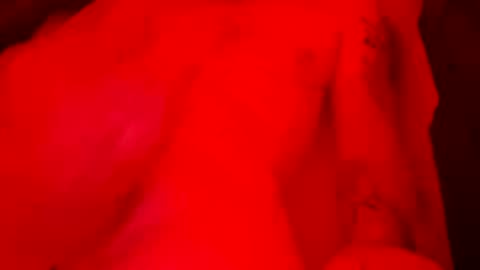 1Woody4u online show from May 24, 5:47 am