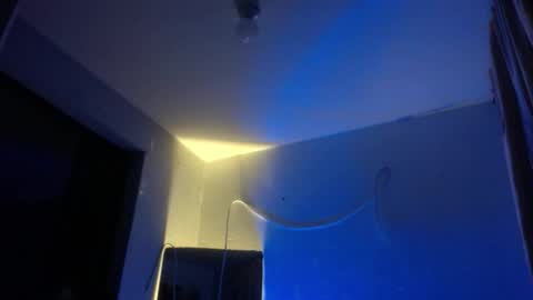 xalejo_max online show from November 12, 12:02 am