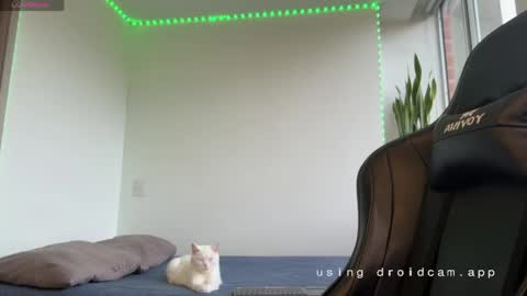 Xavier online show from May 7, 10:27 pm