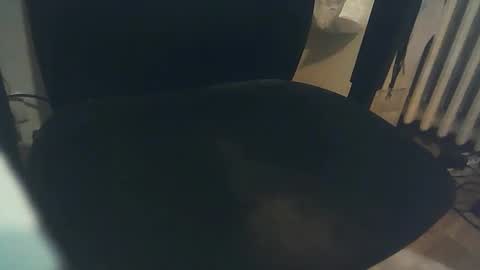 bibi online show from February 11, 1:09 pm