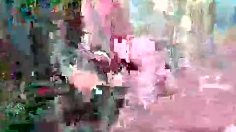 xixo6969 online show from February 6, 6:54 pm