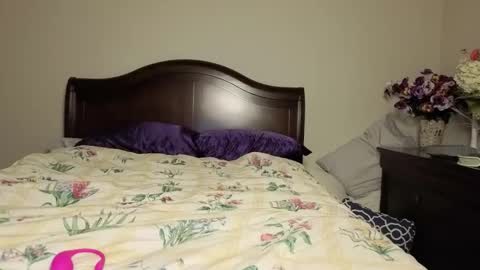 Bambi online show from February 8, 2:15 am