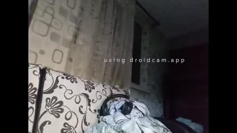 xploid1982 online show from April 21, 10:06 pm