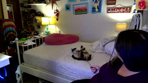 Strawberry Jane online show from November 23, 7:17 am