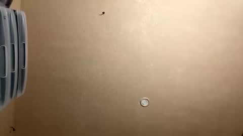 xxxgozgoz45 online show from November 17, 6:49 am