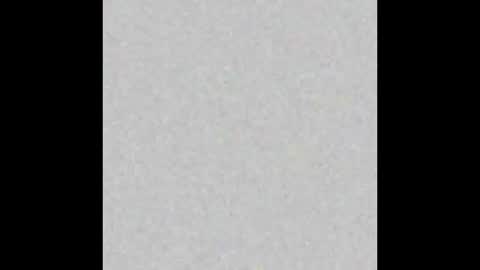 .     y e l l o w s n a k e s       . online show from November 26, 7:21 pm