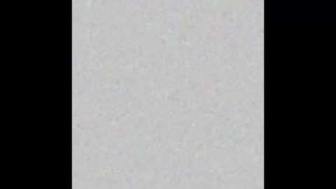 .     y e l l o w s n a k e s       . online show from February 5, 4:21 pm