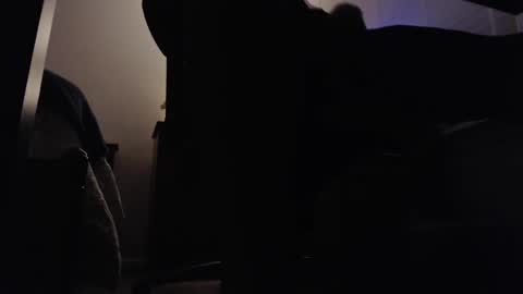 Sh online show from January 21, 10:41 pm