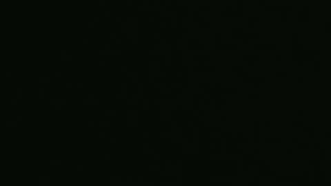 yourpersonalgeniusl online show from December 27, 10:26 pm