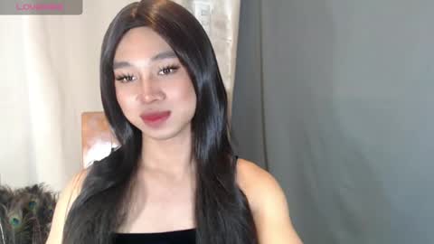 Stella online show from May 6, 3:51 pm