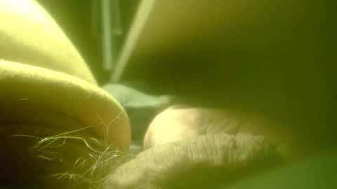 zaboski4 online show from February 25, 7:45 am