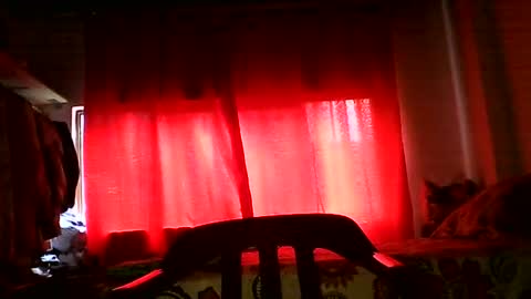 Zafiro online show from July 10, 2:33 pm