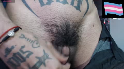 Zeldris online show from February 8, 10:51 pm