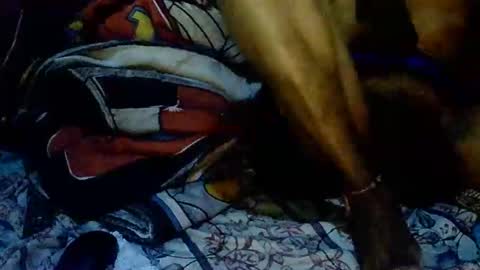 IA2612 online show from September 17, 8:29 am